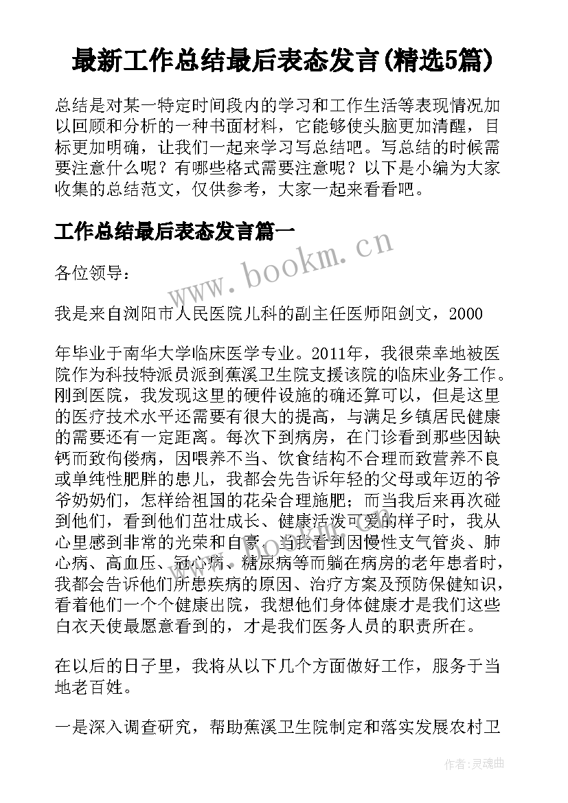 最新工作总结最后表态发言(精选5篇)