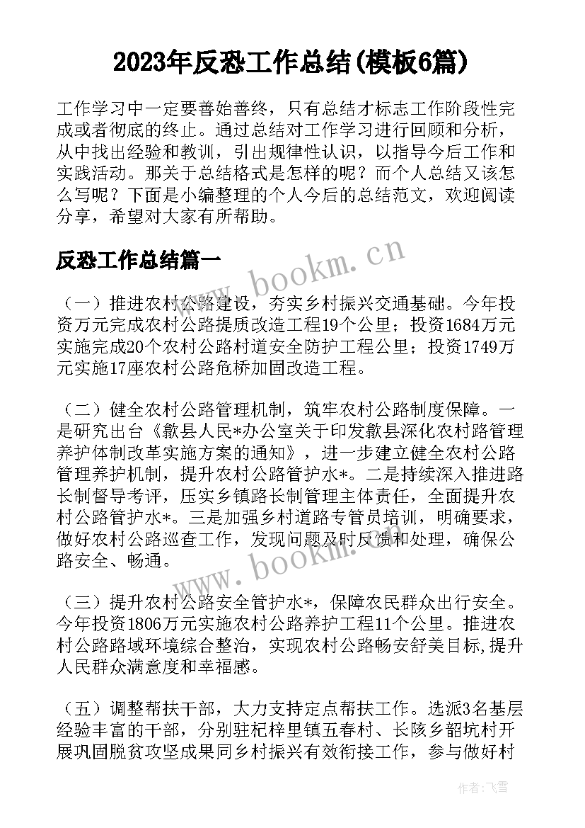 2023年反恐工作总结(模板6篇)