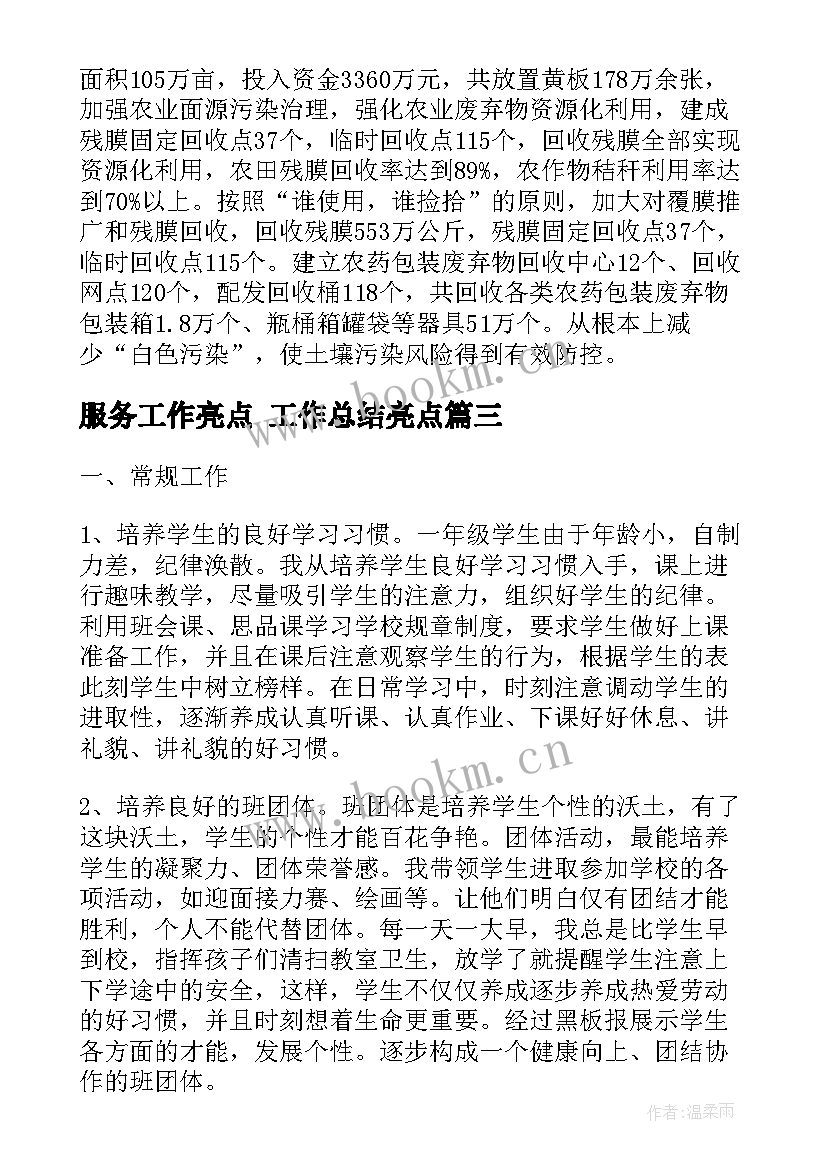 2023年服务工作亮点 工作总结亮点(汇总6篇)