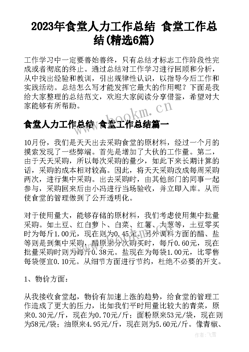 2023年食堂人力工作总结 食堂工作总结(精选6篇)