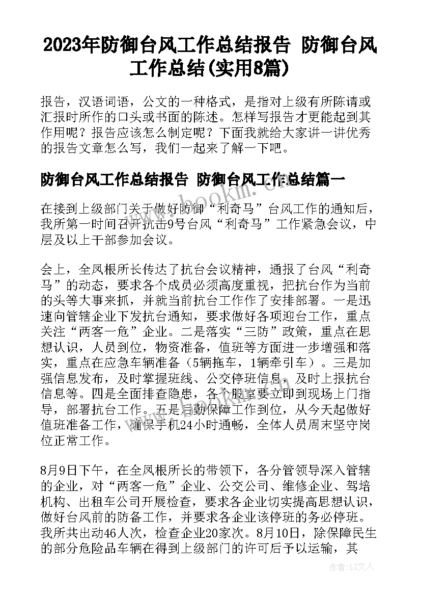 2023年防御台风工作总结报告 防御台风工作总结(实用8篇)