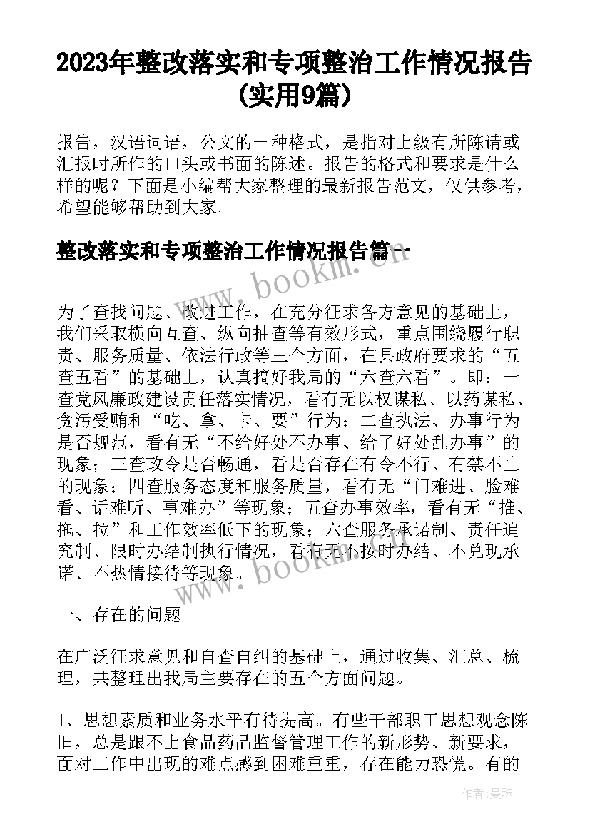 2023年整改落实和专项整治工作情况报告(实用9篇)