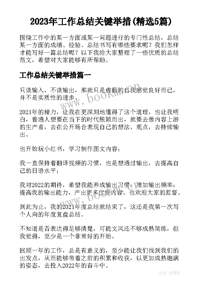 2023年工作总结关键举措(精选5篇)