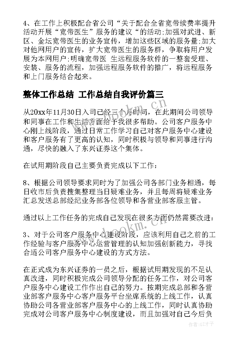 整体工作总结 工作总结自我评价(优质10篇)