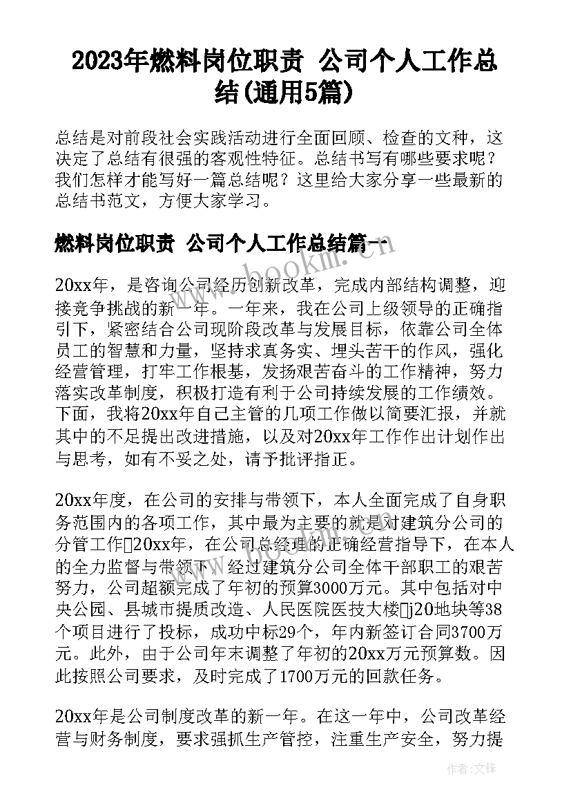 2023年燃料岗位职责 公司个人工作总结(通用5篇)