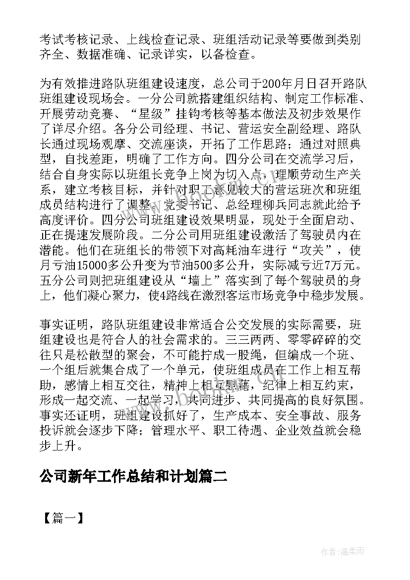 最新公司新年工作总结和计划(精选10篇)