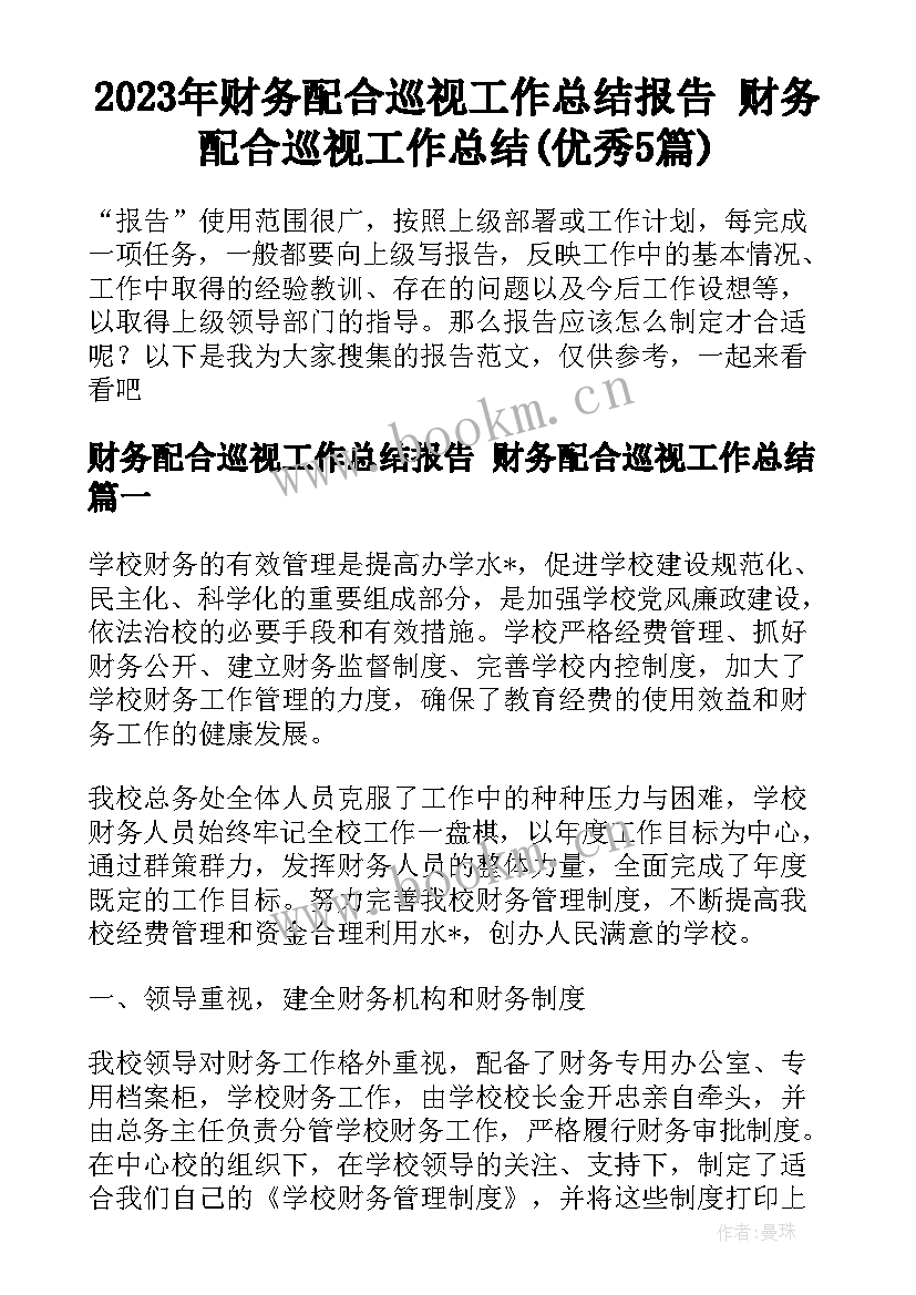 2023年财务配合巡视工作总结报告 财务配合巡视工作总结(优秀5篇)