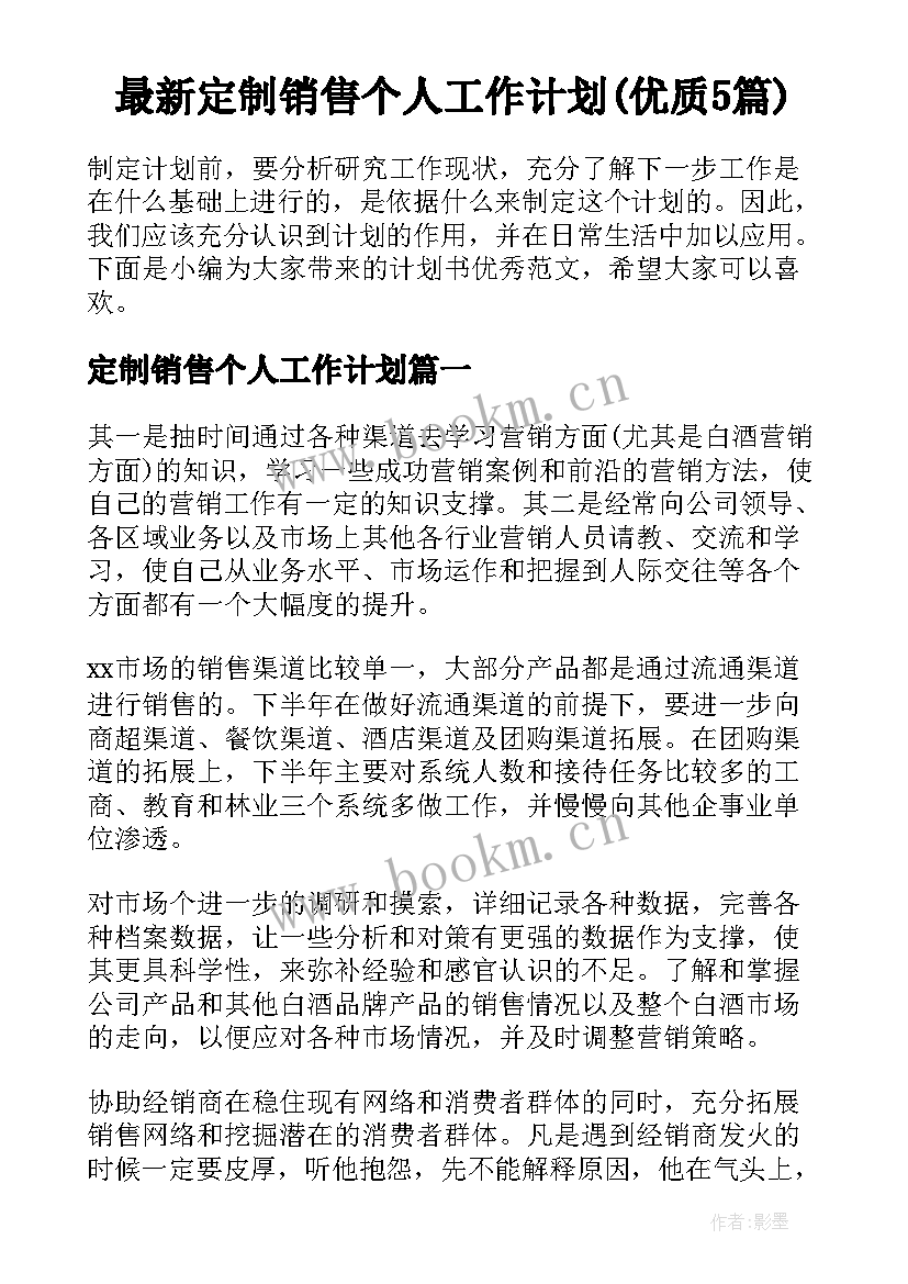 最新定制销售个人工作计划(优质5篇)