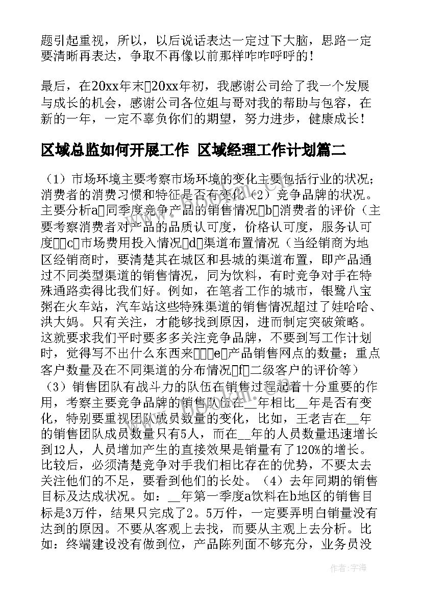 2023年区域总监如何开展工作 区域经理工作计划(通用9篇)