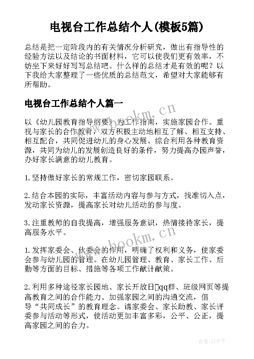 电视台工作总结个人(模板5篇)