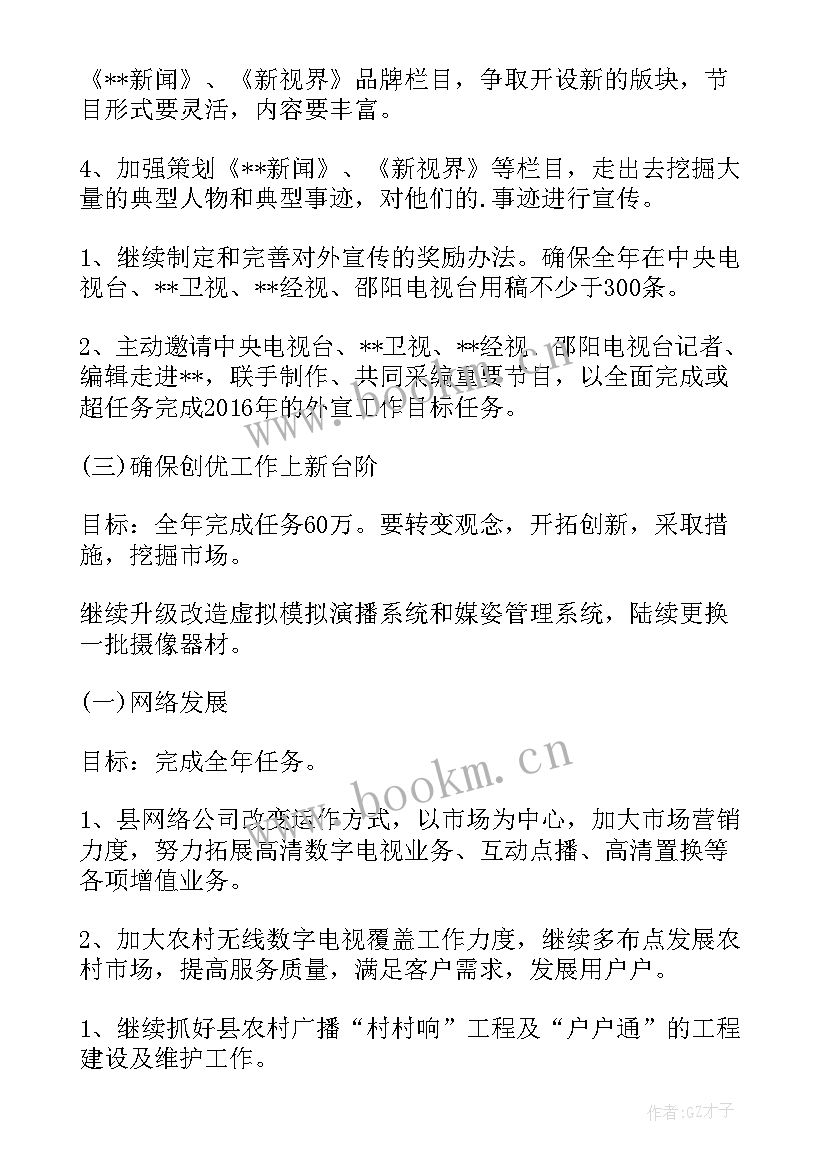 电视台工作总结个人(模板5篇)