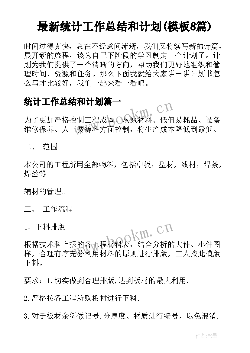 最新统计工作总结和计划(模板8篇)