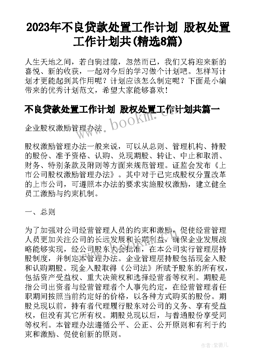 2023年不良贷款处置工作计划 股权处置工作计划共(精选8篇)