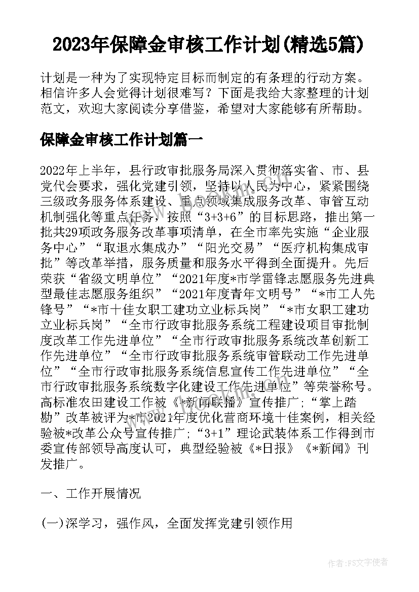 2023年保障金审核工作计划(精选5篇)