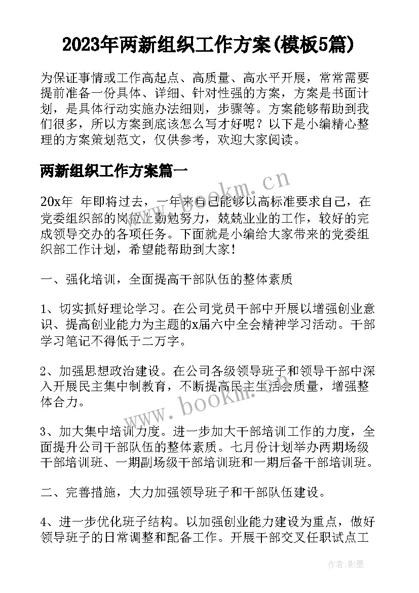 2023年两新组织工作方案(模板5篇)