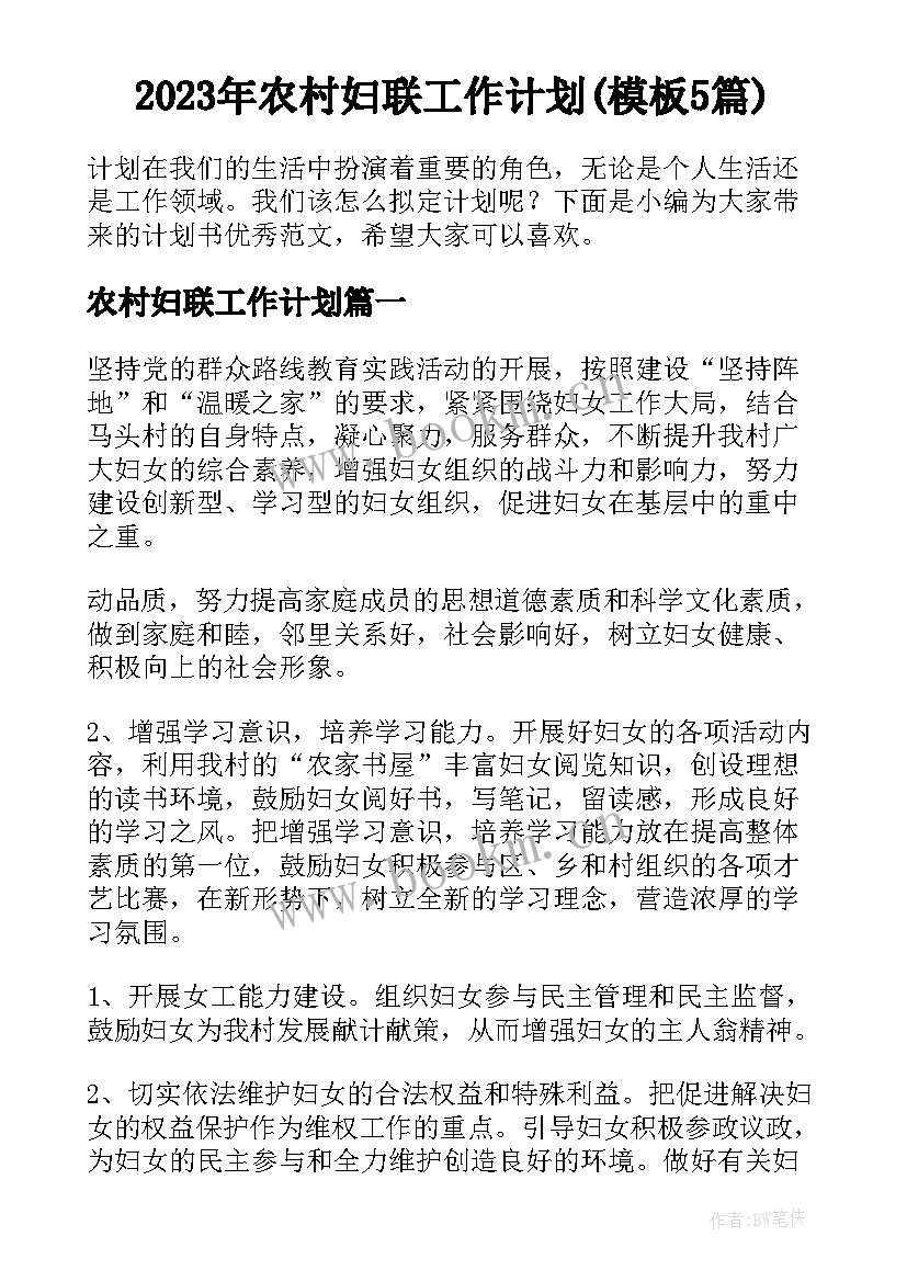 2023年农村妇联工作计划(模板5篇)