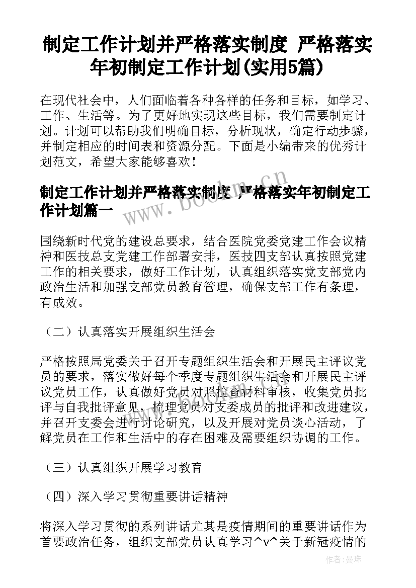 制定工作计划并严格落实制度 严格落实年初制定工作计划(实用5篇)