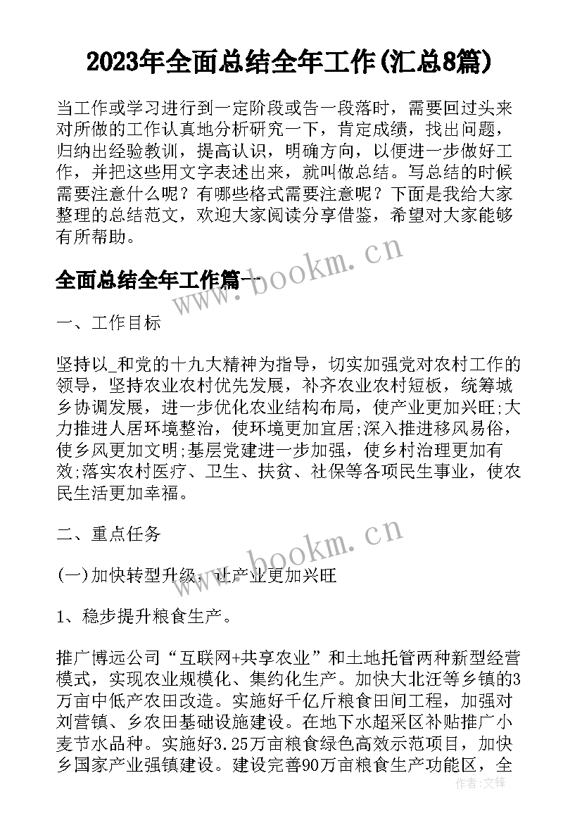 2023年全面总结全年工作(汇总8篇)