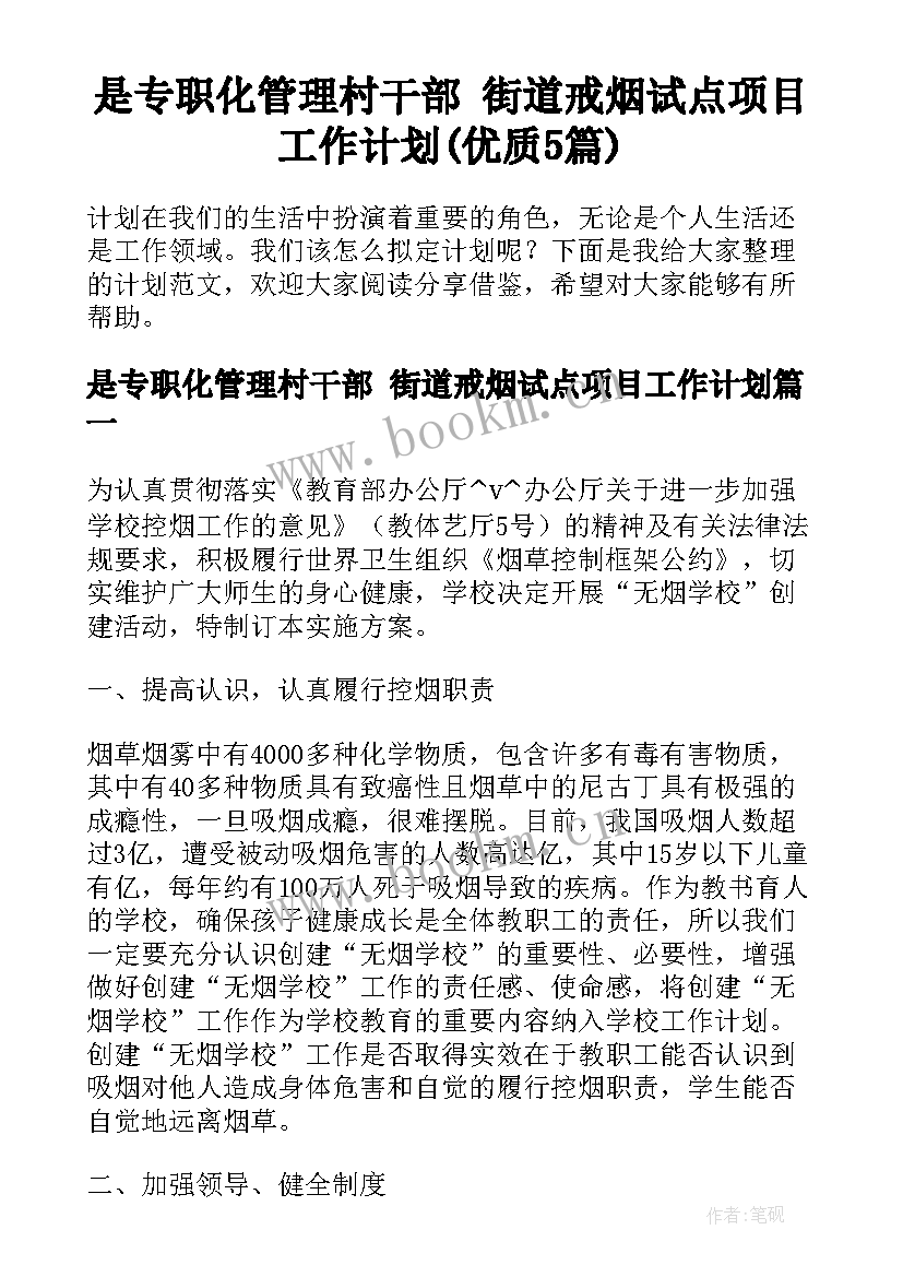 是专职化管理村干部 街道戒烟试点项目工作计划(优质5篇)