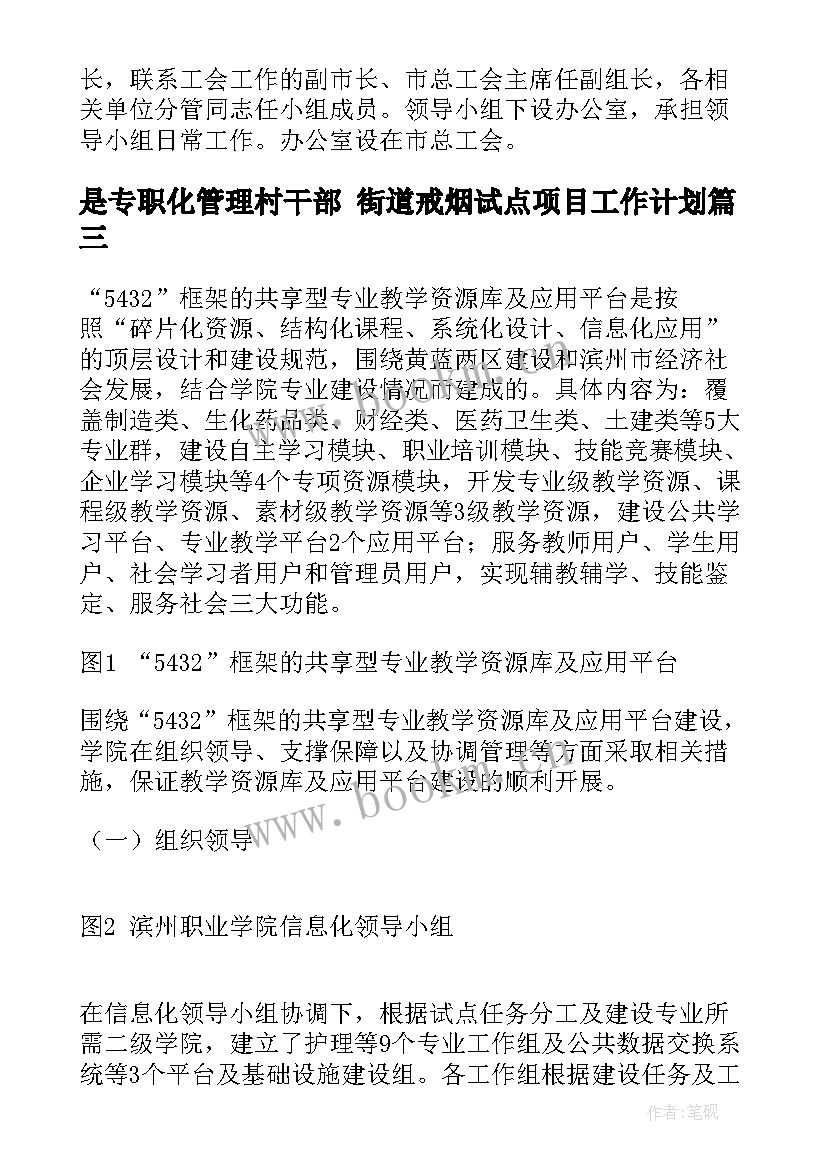 是专职化管理村干部 街道戒烟试点项目工作计划(优质5篇)