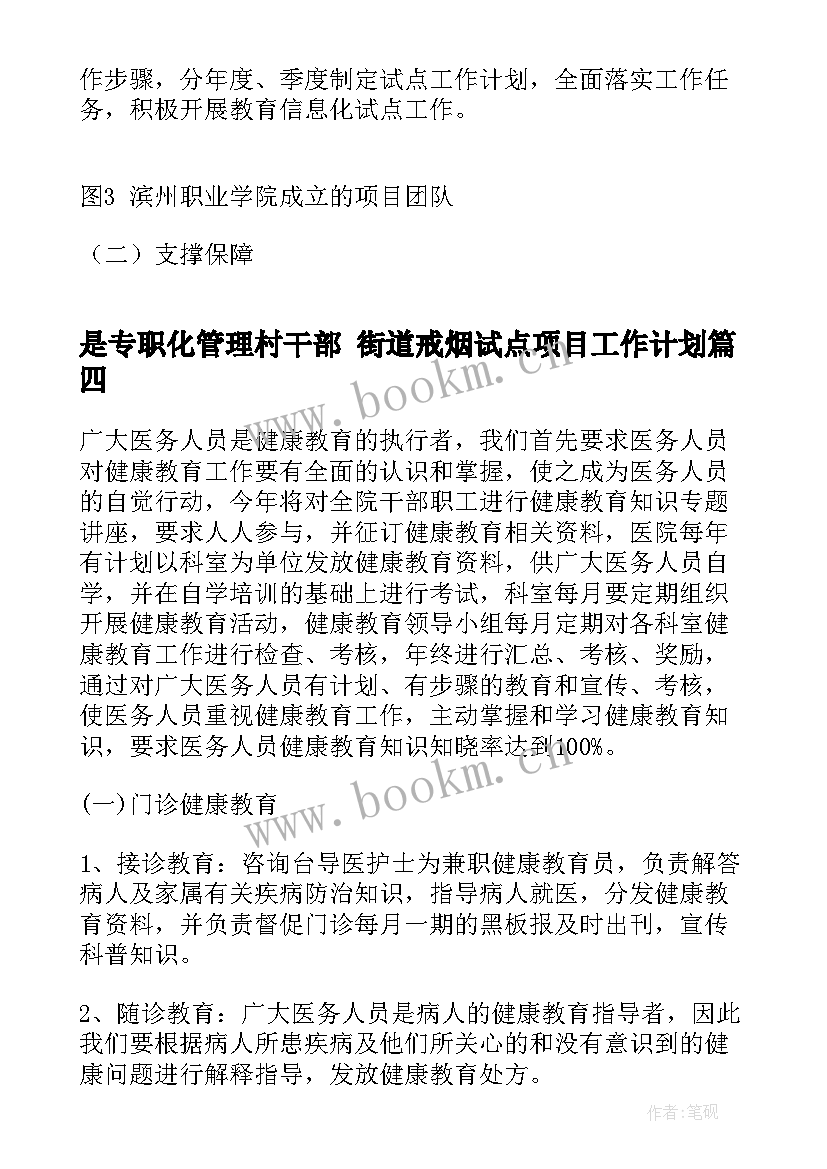 是专职化管理村干部 街道戒烟试点项目工作计划(优质5篇)