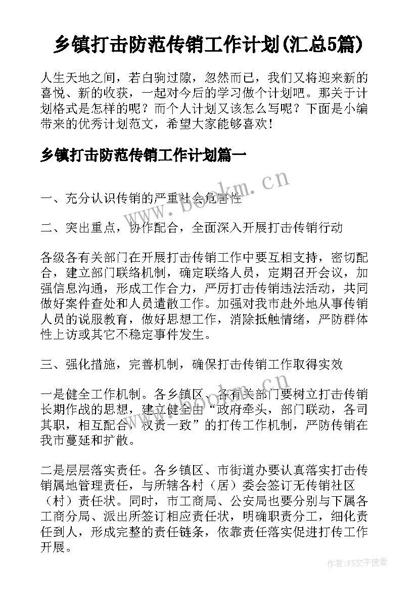 乡镇打击防范传销工作计划(汇总5篇)