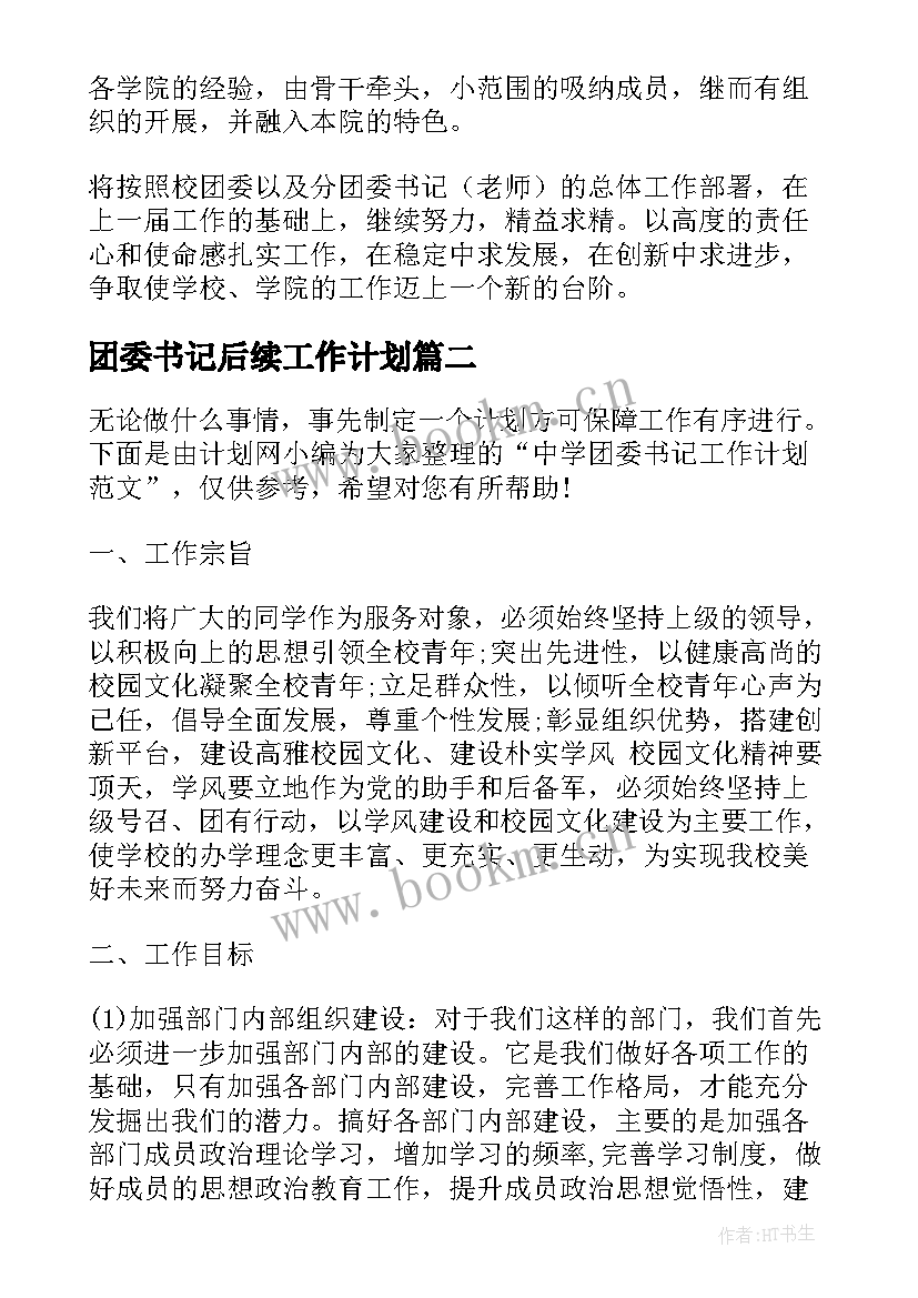 团委书记后续工作计划(实用5篇)