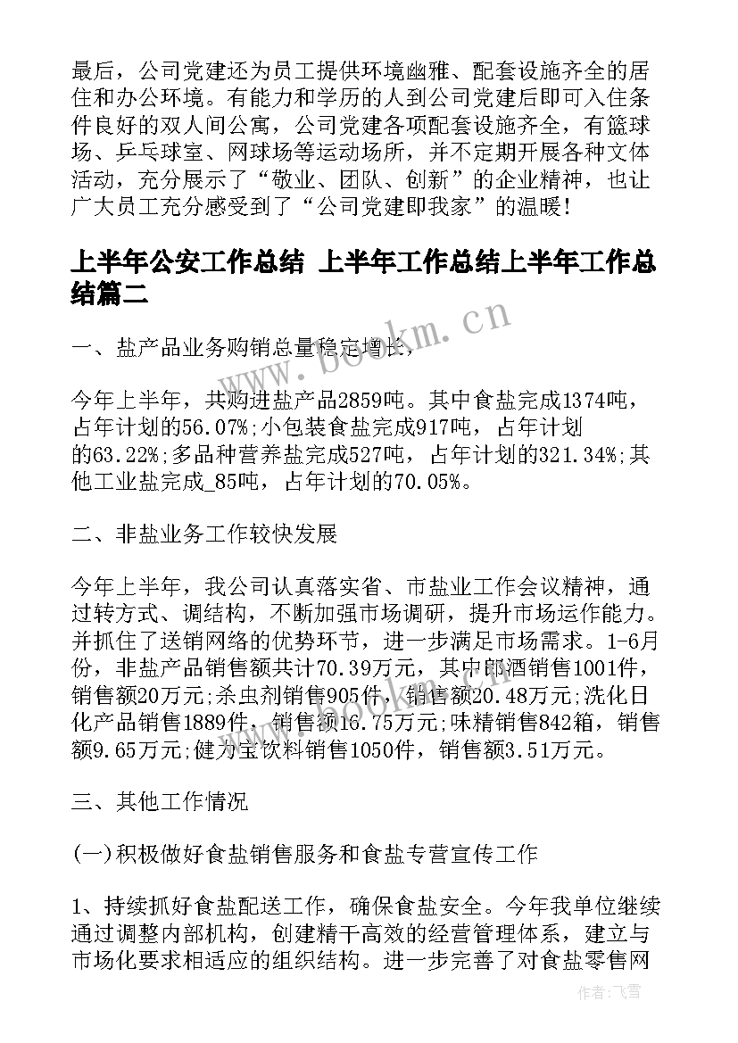 上半年公安工作总结 上半年工作总结上半年工作总结(精选6篇)