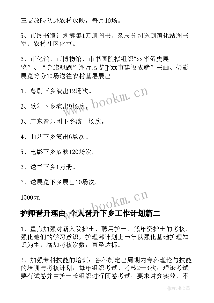 2023年护师晋升理由 个人晋升下乡工作计划(模板6篇)