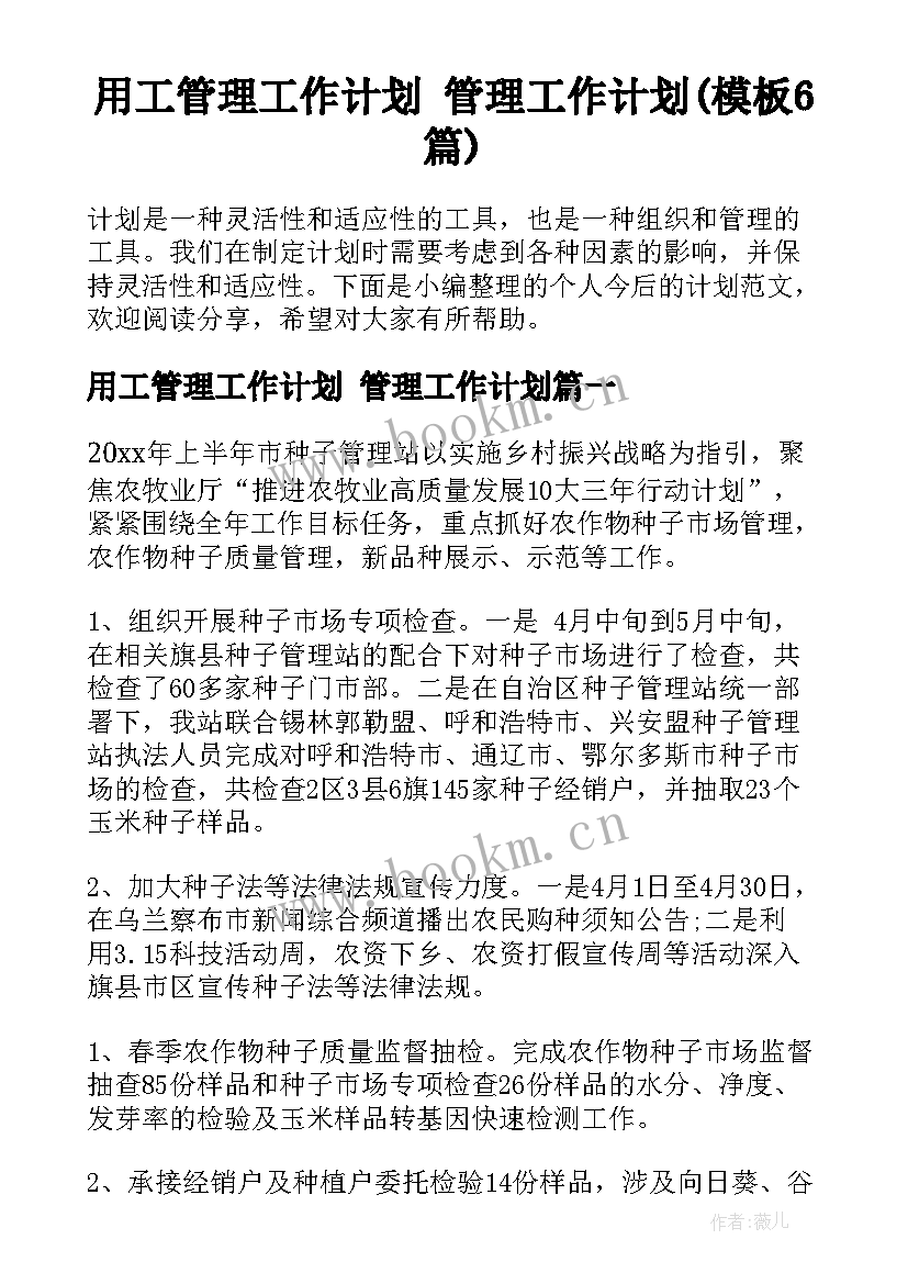 用工管理工作计划 管理工作计划(模板6篇)