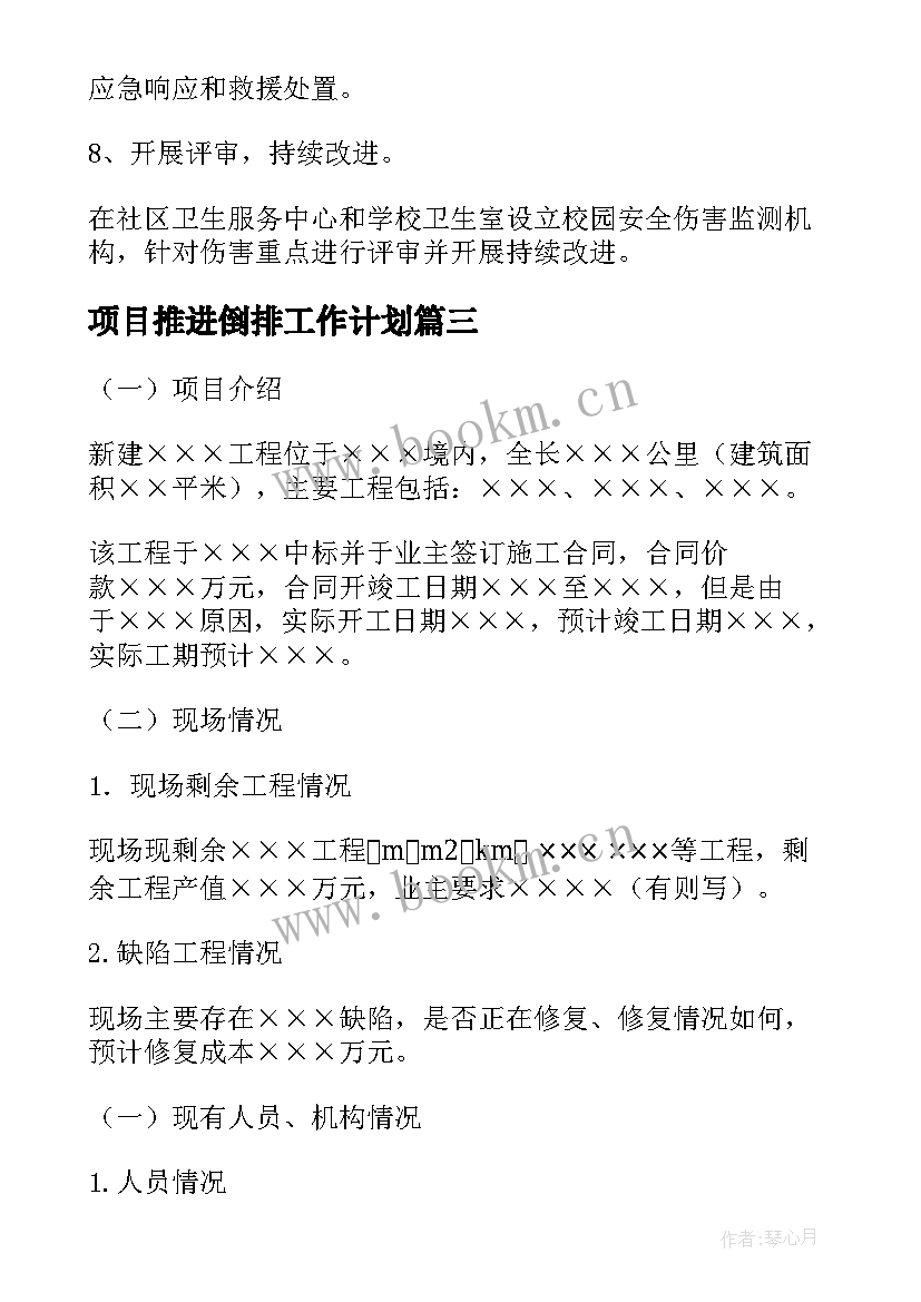 2023年项目推进倒排工作计划(大全10篇)