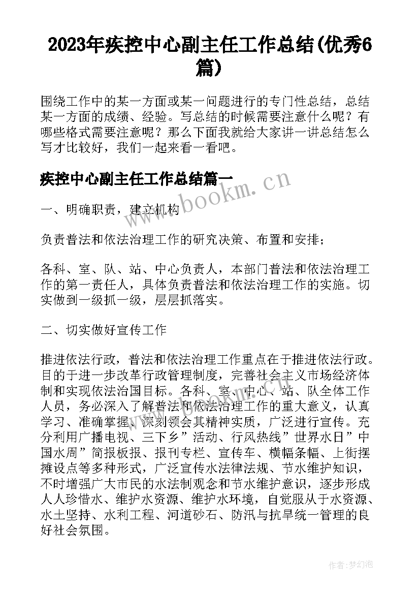 2023年疾控中心副主任工作总结(优秀6篇)