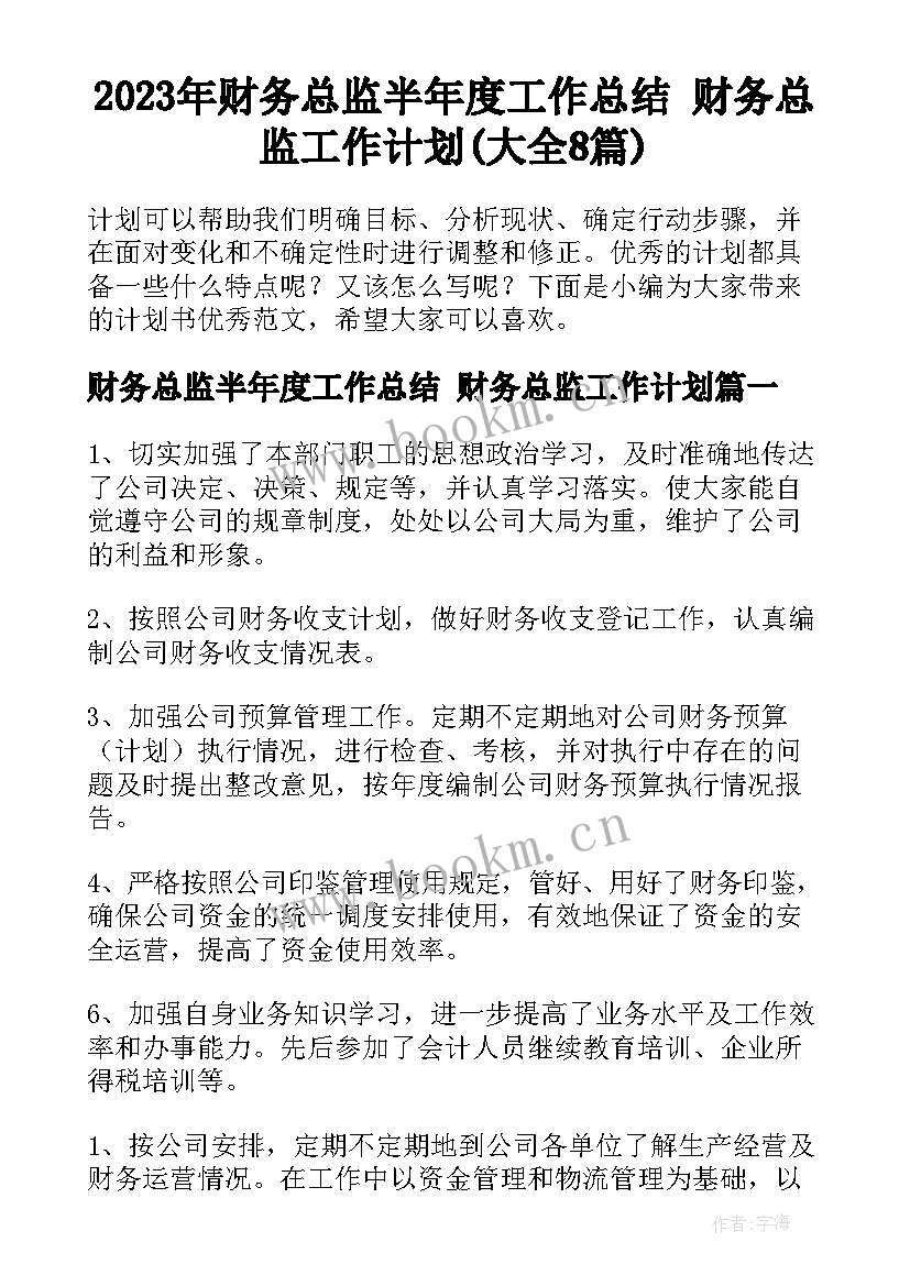 2023年财务总监半年度工作总结 财务总监工作计划(大全8篇)