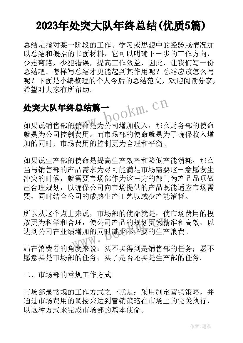 2023年处突大队年终总结(优质5篇)