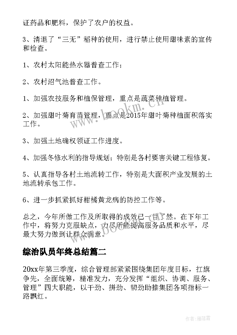 2023年综治队员年终总结(精选8篇)