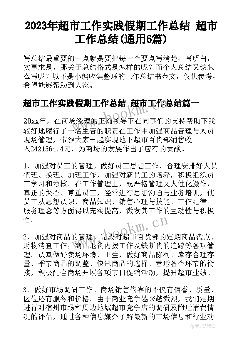 2023年超市工作实践假期工作总结 超市工作总结(通用6篇)