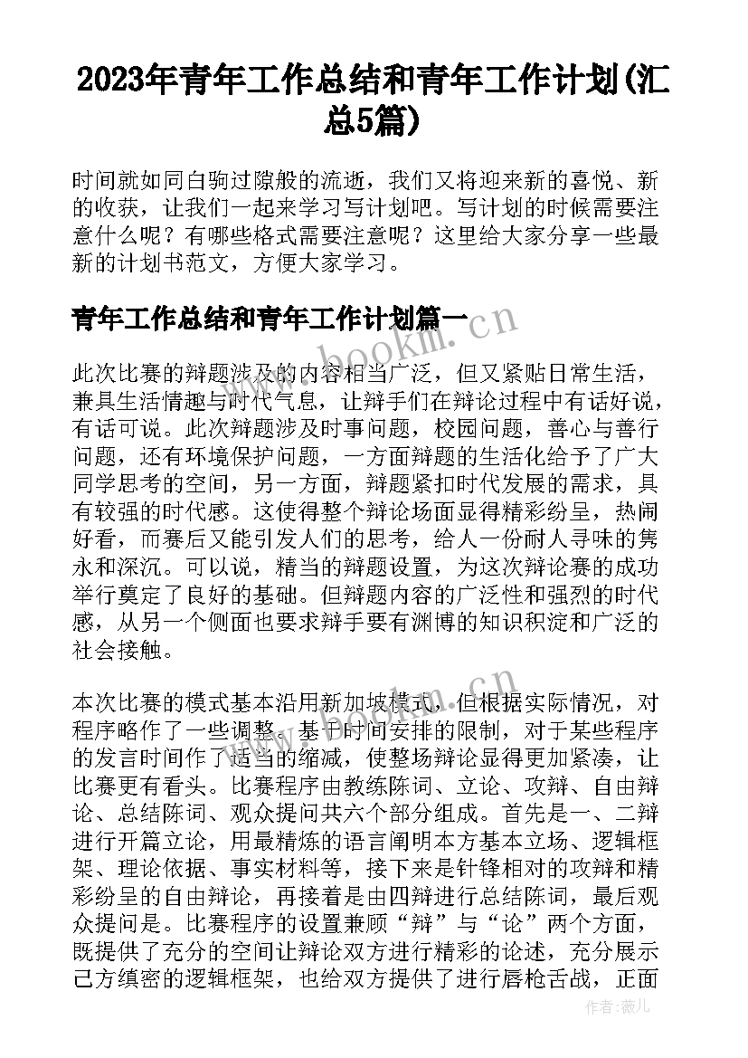 2023年青年工作总结和青年工作计划(汇总5篇)