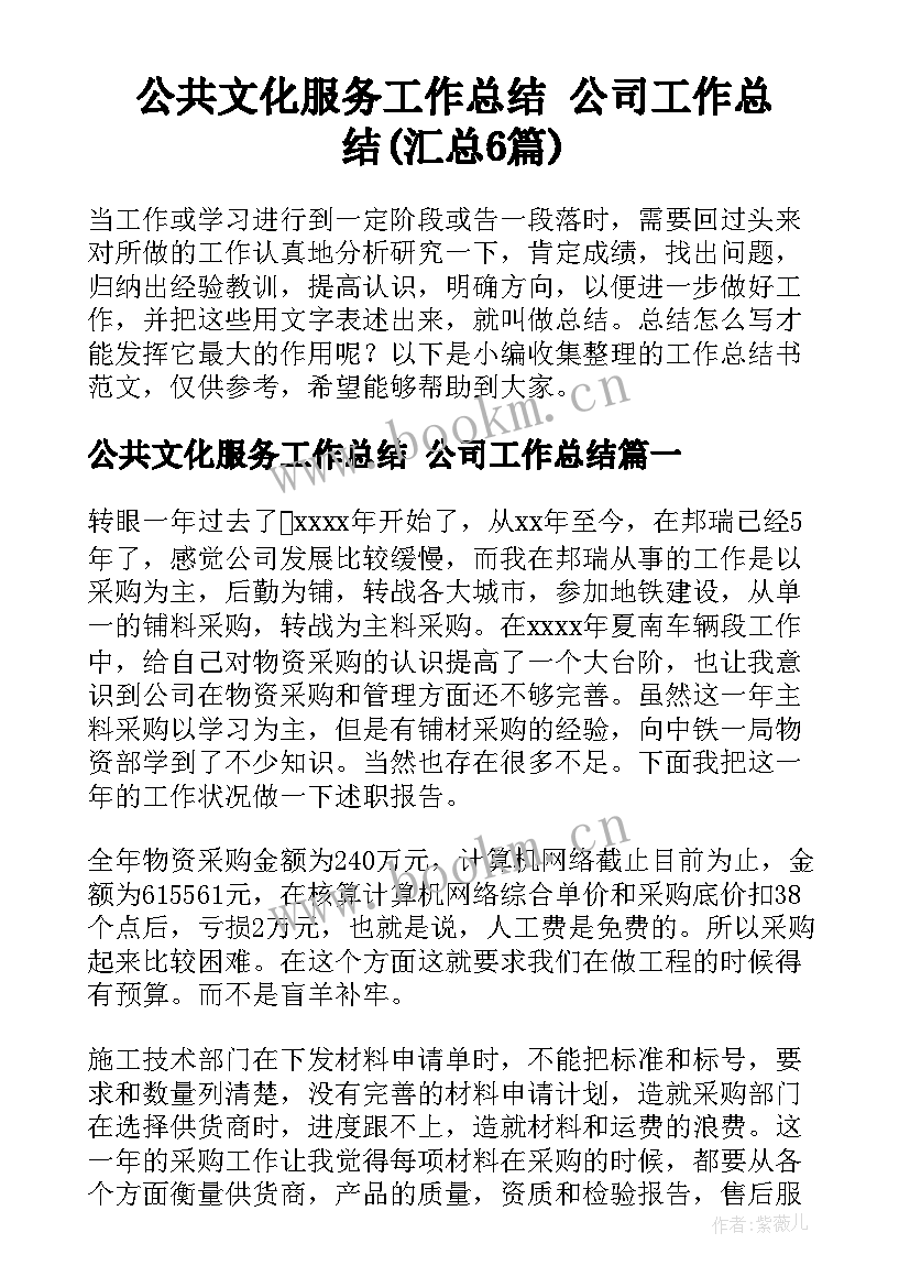 公共文化服务工作总结 公司工作总结(汇总6篇)