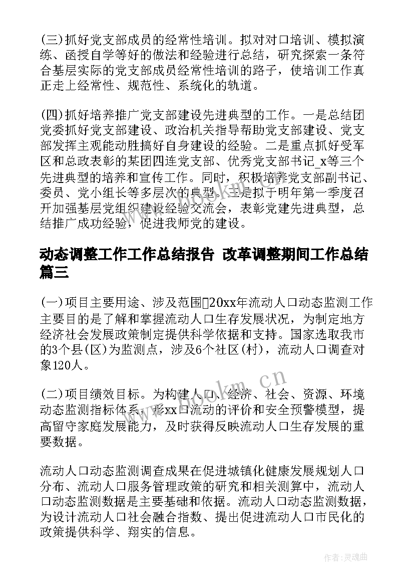 动态调整工作工作总结报告 改革调整期间工作总结(精选7篇)