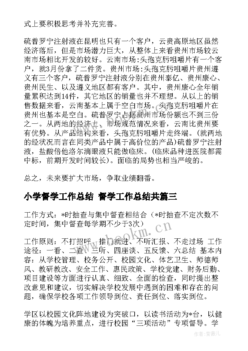 2023年小学督学工作总结 督学工作总结共(优秀9篇)