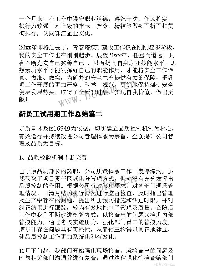 2023年新员工试用期工作总结(精选10篇)