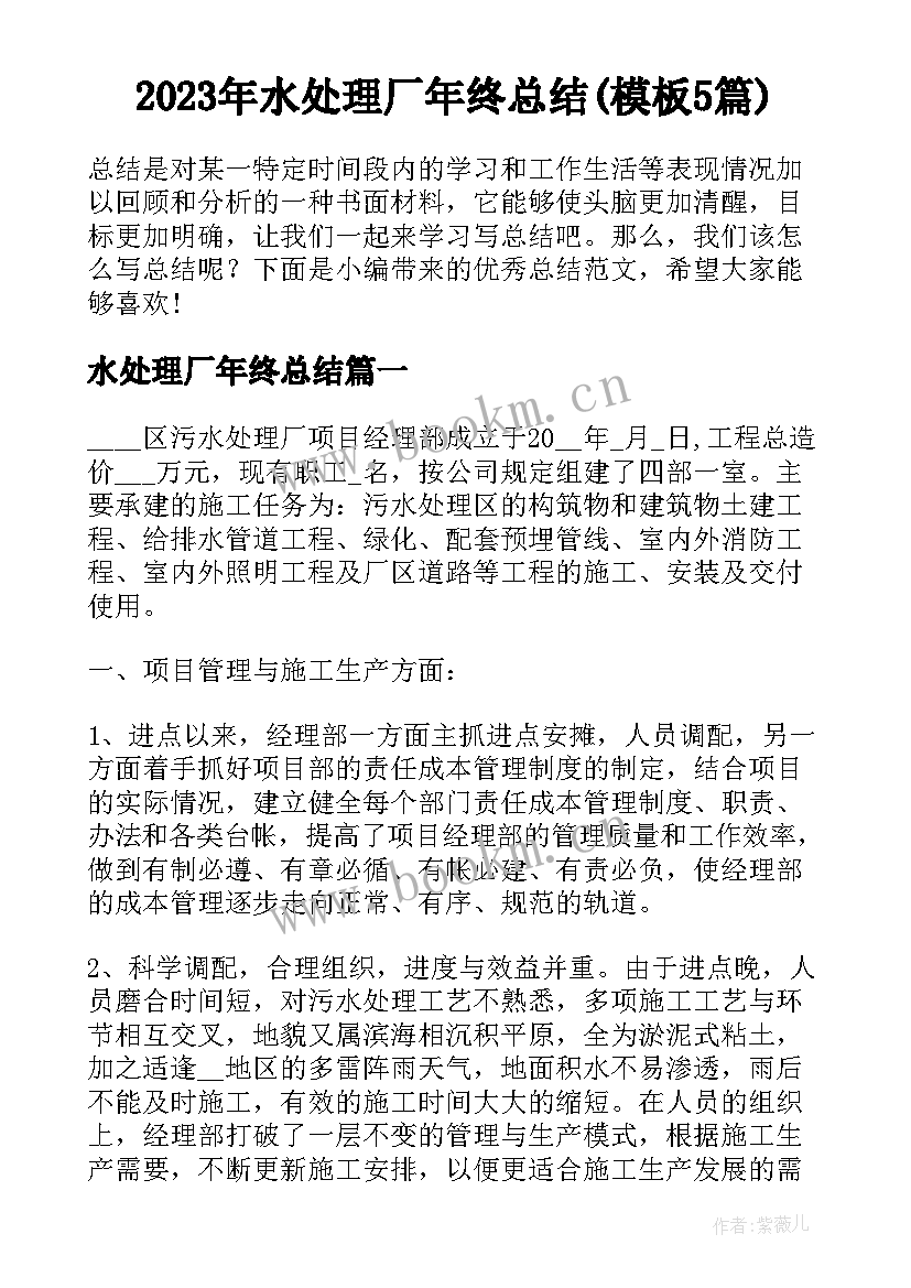 2023年水处理厂年终总结(模板5篇)