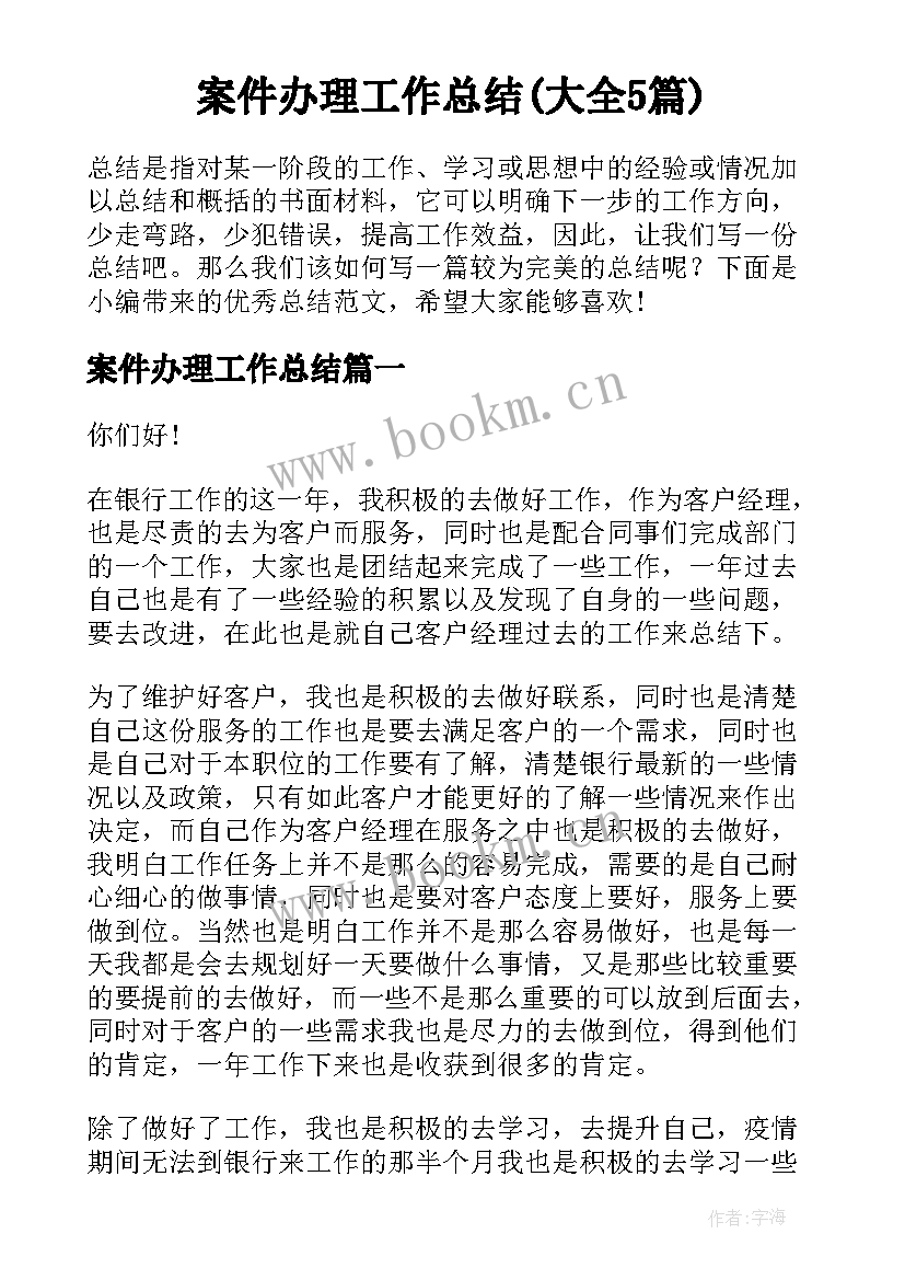 案件办理工作总结(大全5篇)