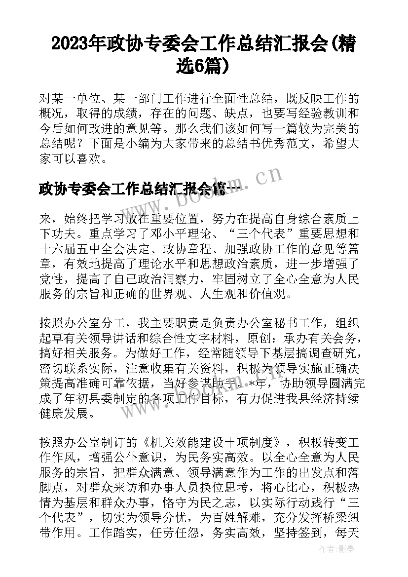 2023年政协专委会工作总结汇报会(精选6篇)