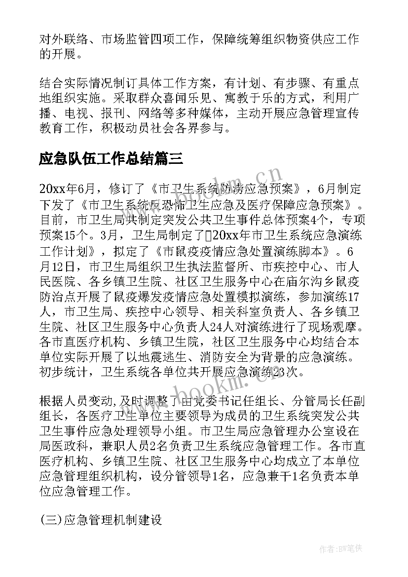 2023年应急队伍工作总结(大全9篇)