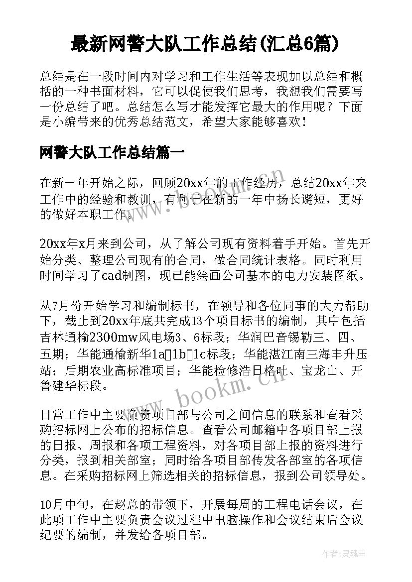 最新网警大队工作总结(汇总6篇)