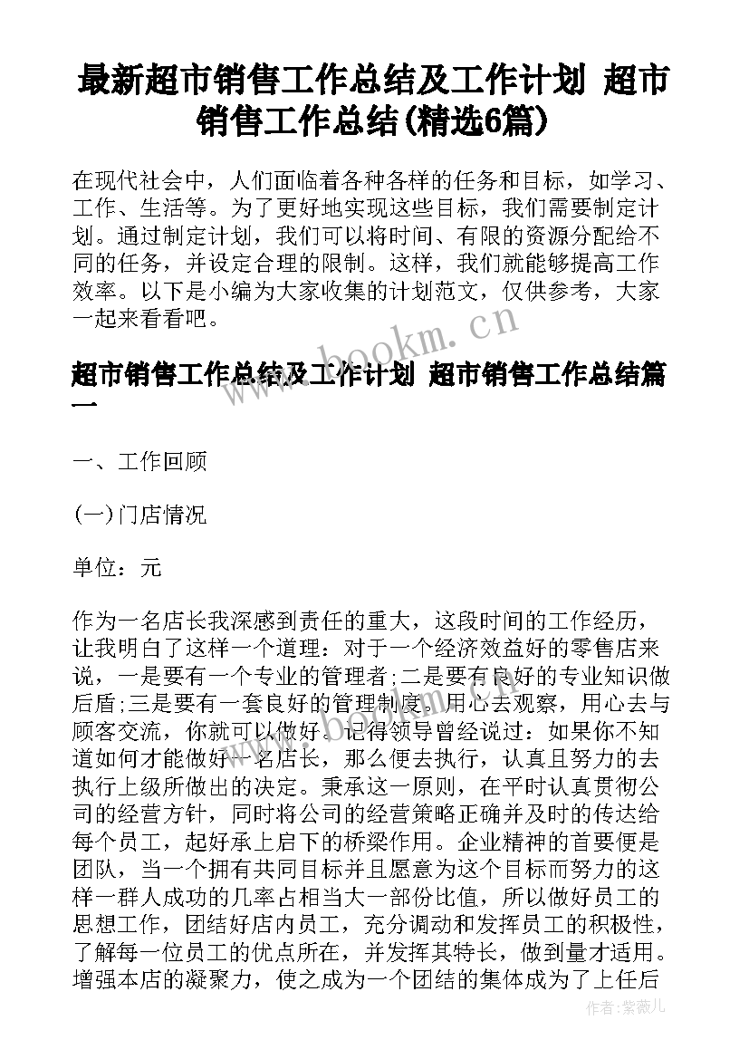 最新超市销售工作总结及工作计划 超市销售工作总结(精选6篇)