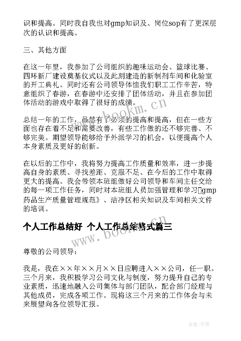 2023年个人工作总结好 个人工作总结格式(优质6篇)