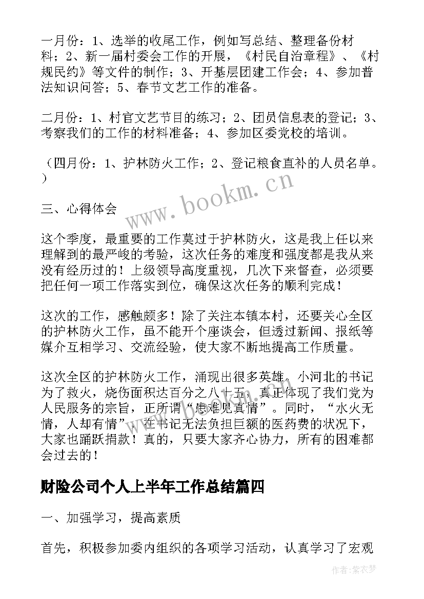 最新财险公司个人上半年工作总结(汇总8篇)