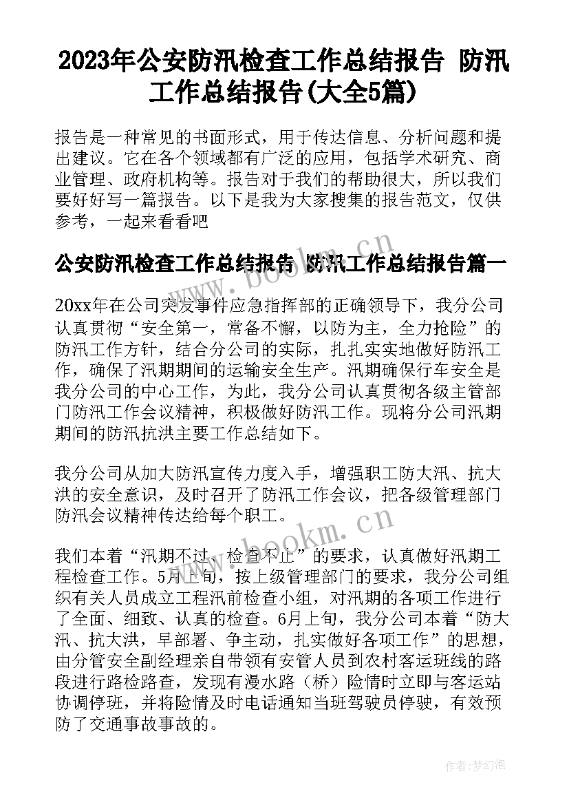 2023年公安防汛检查工作总结报告 防汛工作总结报告(大全5篇)